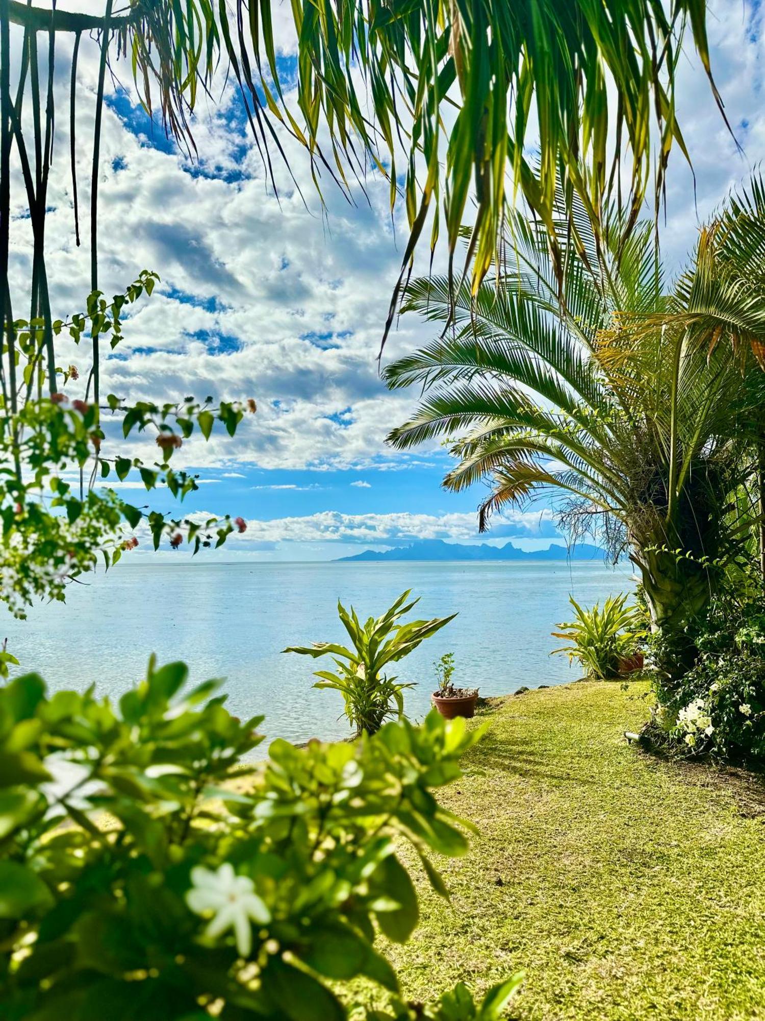 O'Coco Bungalow- Breathtaking Waterfront Views, Endless Memories Paea Ngoại thất bức ảnh